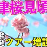 【河津桜2022年】ドローン空撮ツアーの増設