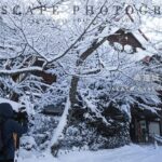 【風景写真】桜に雪が降り積もる冬の高遠城址公園| EOSR6