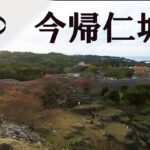 [VR]今帰仁グスク桜まつり　360度カメラ持って行ってきましたOkinawa Nakijin castle 360 VIDEO