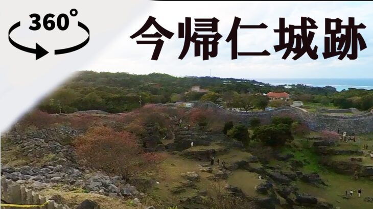[VR]今帰仁グスク桜まつり　360度カメラ持って行ってきましたOkinawa Nakijin castle 360 VIDEO
