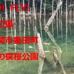 【ドローン】  インスタ映え　一の俣桜公園　山口県   下関市豊田町