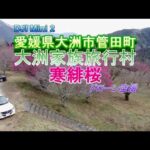 大洲家族旅行村の寒緋桜ドローン空撮