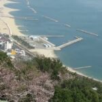 須磨浦山上遊園の春の風景　桜と須磨の海　春の瀬戸内海の景色