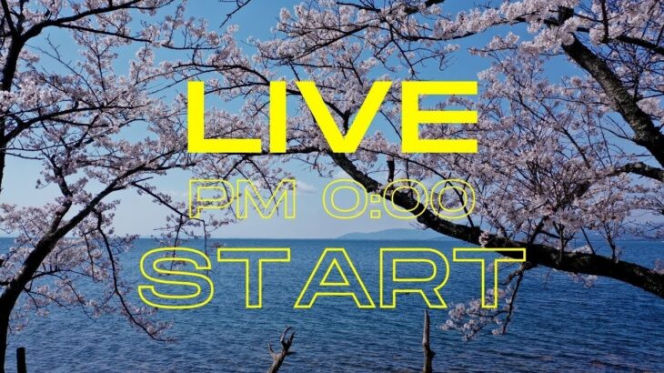 3/27はオンライン花見の日！世界中の人と日本の桜を楽しもう ｜Online Cherry blossom Viewing（YouTube Live will start at PM0:00）