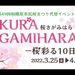 ライトアップにドローン、VRアートも！相模原の桜を10日間にわたり楽しめるイベント「SAKURA SAGAMIHARA－桜彩る１０日間－」の魅力をご紹介♪