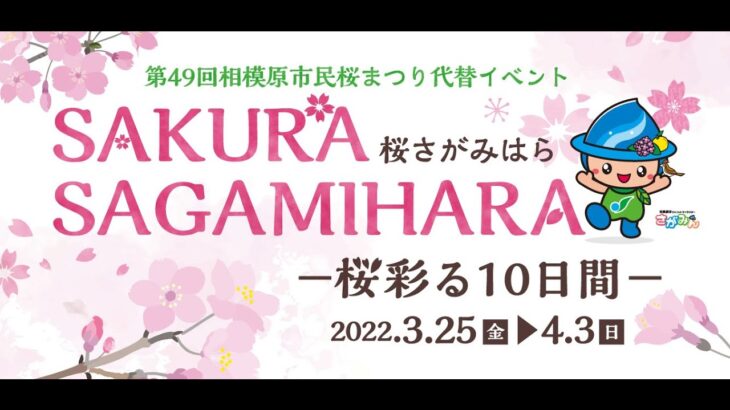 ライトアップにドローン、VRアートも！相模原の桜を10日間にわたり楽しめるイベント「SAKURA SAGAMIHARA－桜彩る１０日間－」の魅力をご紹介♪