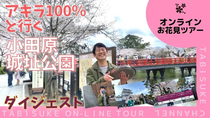 【介護レク】オンラインお花見ツアー：アキラ100％と行く小田原城址公園（ダイジェスト）