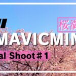 【空撮#1】MAVIC MINIで撮る桜満開風景