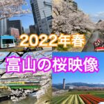 【風景動画】2022年、富山の桜映像詰め合わせ