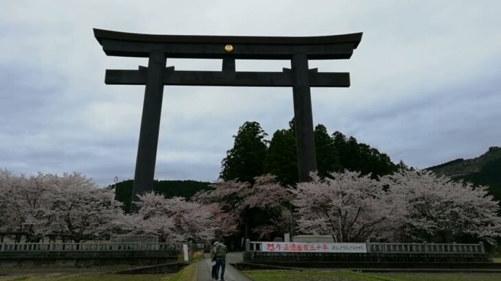 熊野詣　熊野本宮大社　大斎原　大鳥居前　桜🌸　熊野の風景　2022年4月初旬　