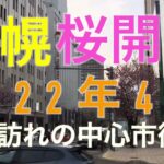 【札幌】桜が咲き始めの中心市街地の風景！【2022年4月22日】【樺太チャンネル/сахалин】