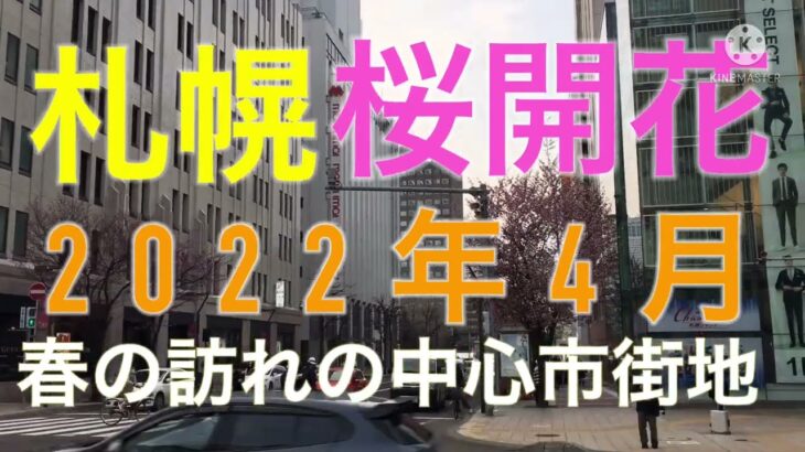 【札幌】桜が咲き始めの中心市街地の風景！【2022年4月22日】【樺太チャンネル/сахалин】