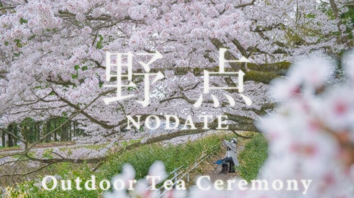 野点 三十四服目 桜の下で’22  Nodate Japan Episode 34 Sakura ’22 茶道 裏千家 アウトドア Outdoor Tea Ceremony. Chanoyu Sado