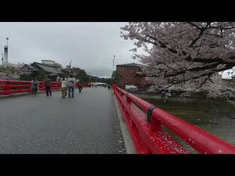 3DVR　高山祭と桜　Takayama Festival