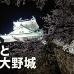 夜桜とライトアップされた越前大野城（4K・VR）