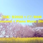 [短編] ピアノBGM + 田舎の桜2022