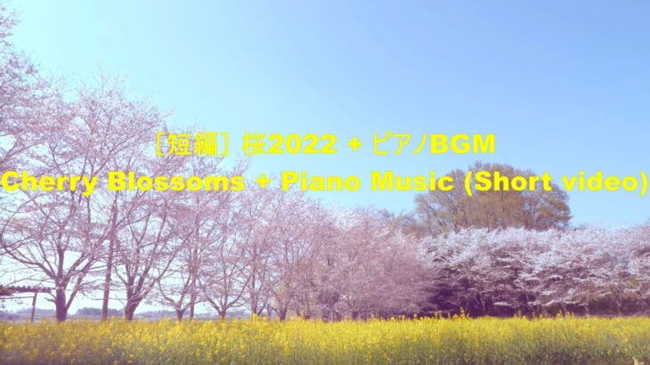 [短編] ピアノBGM + 田舎の桜2022