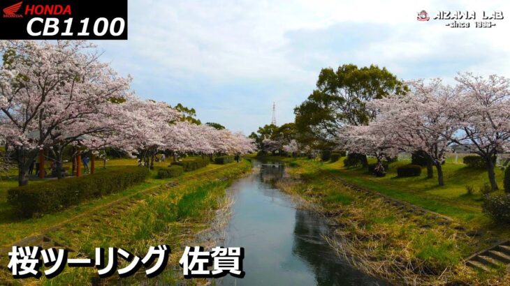 ソロツーリング 春の桜並木をドローン空撮 多布施川湖畔公園【CB1100 #25】