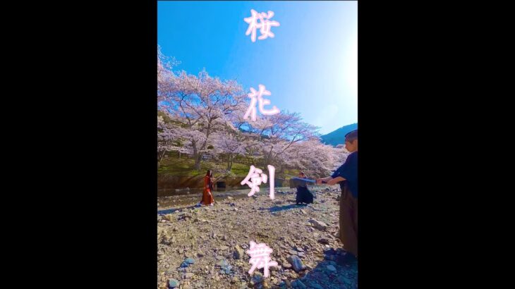 桜×殺陣×ドローン！／Cherry Blossoms × Sword fight × drone！ #Shorts #samurai #fpv
