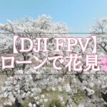 【DJI FPV】ドローンで花見