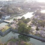 日本の桜 【Drone aerial 】幻の桜～Japan Trip～ ミドリヨシノ CHERRY BLOSSOM in Hagi  #指月公園（Yamaguchi, Japan）#Drone #桜