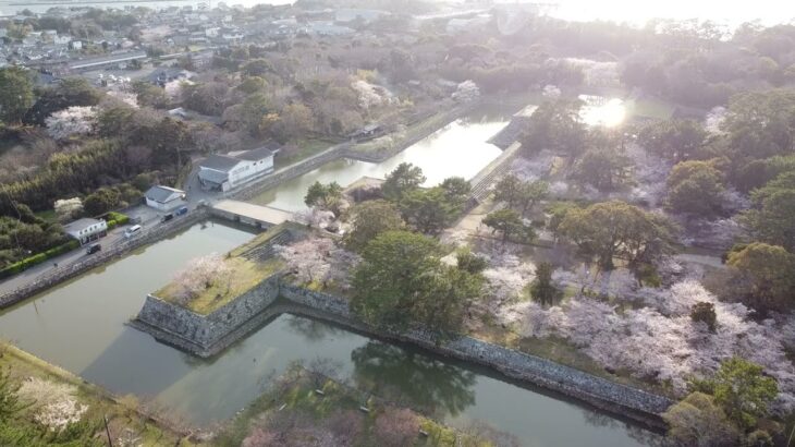 日本の桜 【Drone aerial 】幻の桜～Japan Trip～ ミドリヨシノ CHERRY BLOSSOM in Hagi  #指月公園（Yamaguchi, Japan）#Drone #桜