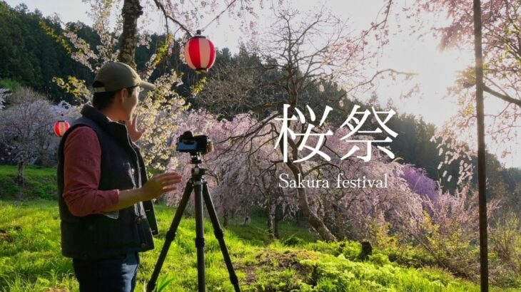 【風景写真】田舎の桜祭りで桜の芸術を撮影｜Sakura photography with Nikon Z7