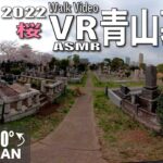 【VR】 青山墓地   桜  Aoyama  VR AMSR in  COVID-19 Japan 2022