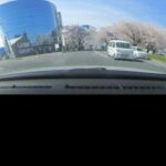 【VR動画】桜のトンネル （すみませんDIY動画ではありません） ららぽーと富士見～谷津の森公園 花見 【天球カメラ】