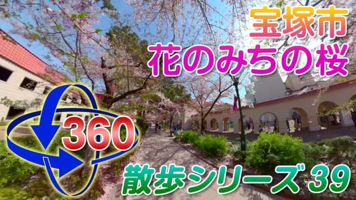 【VR散歩39】2022年の桜!! 宝塚市 花のみち＜QooCam 8K＞2022.4.7