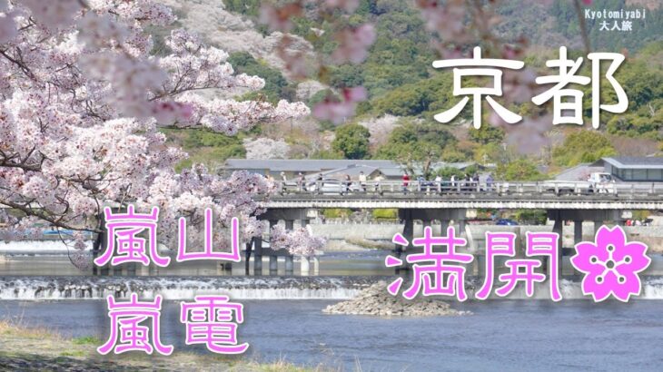 【京都・桜】嵐山と嵐電の満開桜  京都観光 桜写真 cherry blossoms Arashiyama in Kyoto Japan