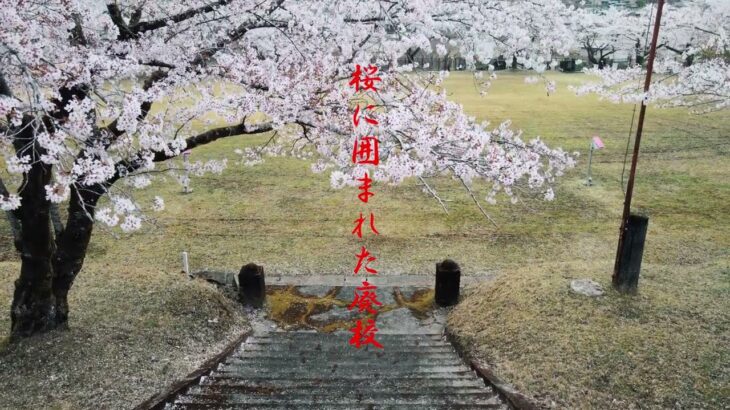 紀伊半島の素晴らしい風景　桜に囲まれた旧神上中学校