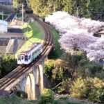 【鉄道】松浦鉄道 桜の風景　～吉井駅周辺～