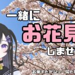 【お花見】オンラインお花見ってやつ