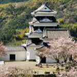 大洲城×桜をドローンで空撮【愛媛県大洲市】