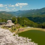 内子町にある「尾首の池の桜」をドローンで空撮【愛媛県】