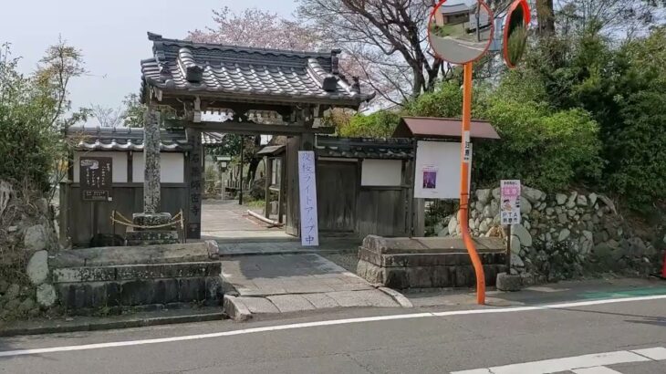 ２０２２年桜の風景　高富山瑠璃光院　石薬師寺