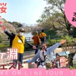 【介護レク】オンラインお花見ツアー：眠梨桜と行く千鳥ヶ淵（ダイジェスト）