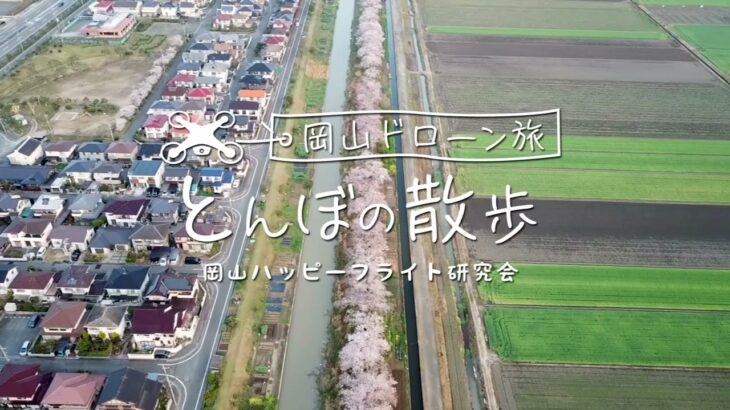 岡山ドローン旅 とんぼの散歩 005宮川堤の桜並木2020