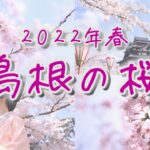 【島根の桜】2022年春まとめ