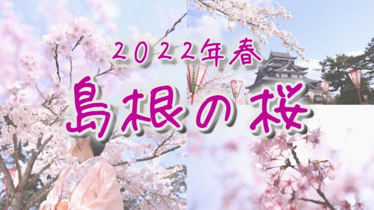 【島根の桜】2022年春まとめ