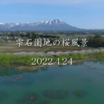 雫石園地の桜風景20220424