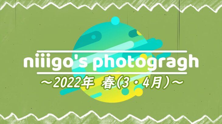 2022年3、4月 春シーズン/Japanese spring photo「桜・春の風景・雪解け」Spring landscape【YouTube動画写真館/YouTube photo studio】