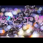 桜と工場 2022_4K　～タンクちゃんネル～　日本全国の桜と工場のコラボ風景を１本の動画にしました　改訂版