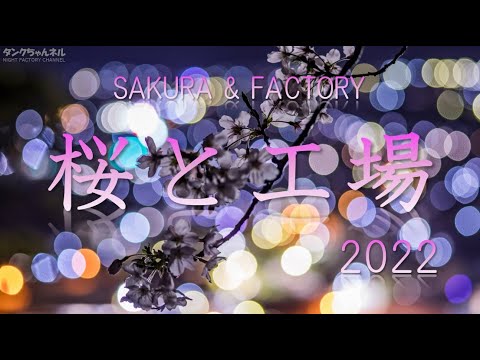 桜と工場 2022_4K　～タンクちゃんネル～　日本全国の桜と工場のコラボ風景を１本の動画にしました　改訂版