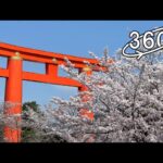 360° VR – 京都・平安神宮　大鳥居と桜 / Japanese Shrine and Sakura (Cherry Blossoms)【5.7K高画質360度VR映像】