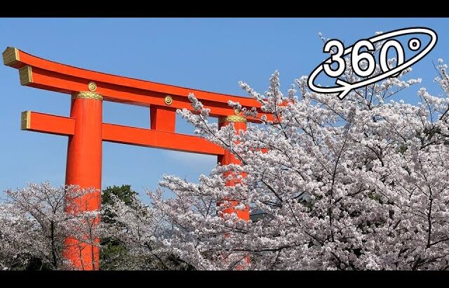 360° VR – 京都・平安神宮　大鳥居と桜 / Japanese Shrine and Sakura (Cherry Blossoms)【5.7K高画質360度VR映像】