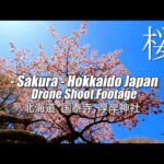 【 日本最遅の桜咲く / 北海道 国泰寺と厚岸神社 】#ドローン #4Ｋ #58