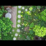 ドローン  飛び石・お花見デッキはDIY　ローメンテナンス　無農薬　定年退職後に庭を造り直す　バラ・クレマチスが咲きました　2022.5.21の庭