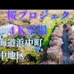 【ドローンで地域を発信】北海道浜中町浜中地区桜プロジェクト。桜前線最終の桜の４K映像です。